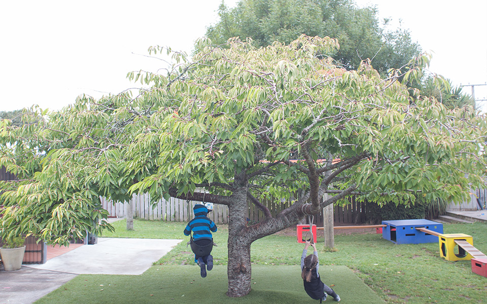 Central-horizontal-2