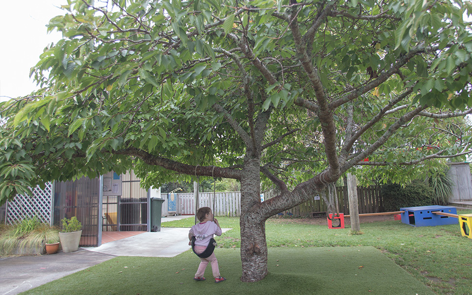 Central-horizontal-5