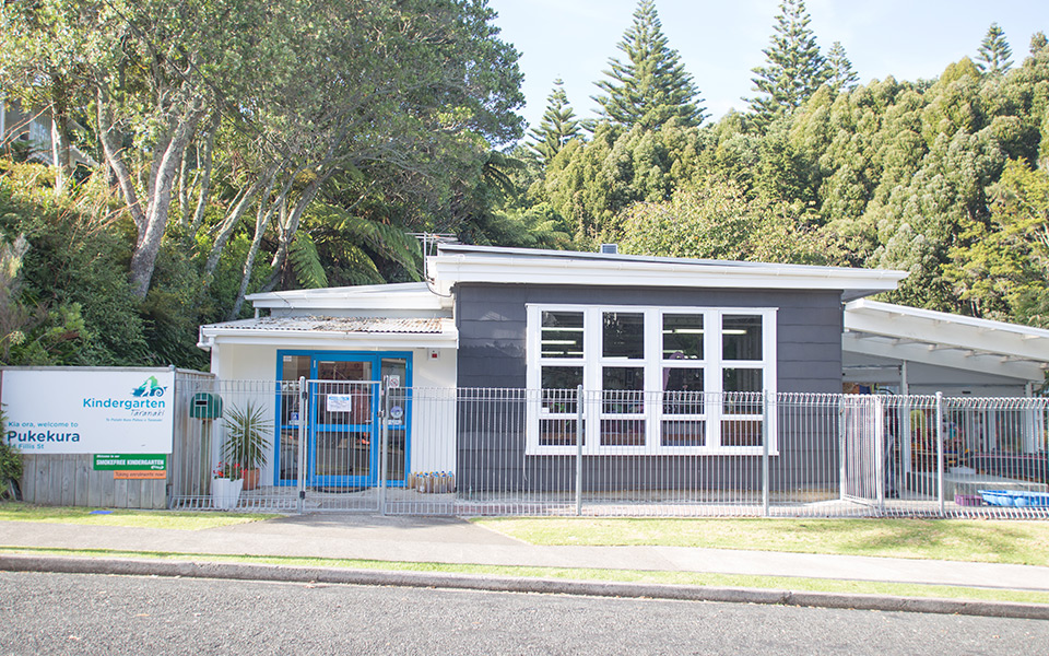 Pukekura-horizontal-5