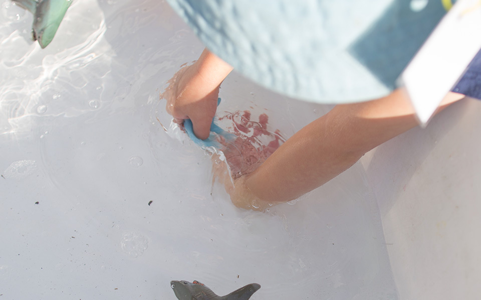 Westown-horizontal-2