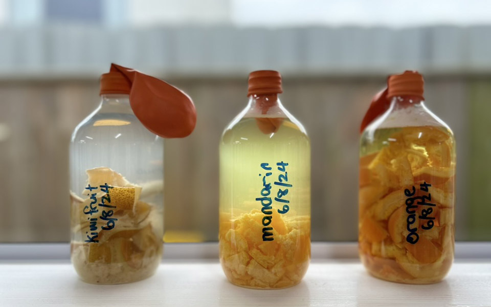 A06FC1BB-828B-4ED6-AE35-0EBAD57ABCFC_1_105_c